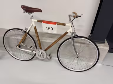 DOTS Plybike Dp-01 650City