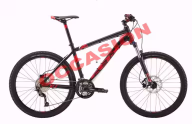 Felt Occasion - Felt Six 7