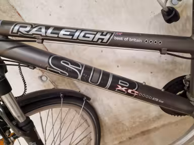 Raleigh Damen City Bikes