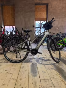 Kalkhoff Endeavour 3