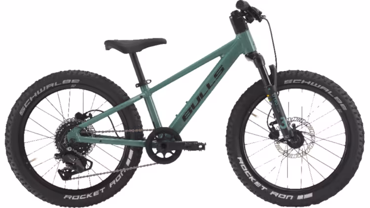 Bulls Tokee Disc 20"