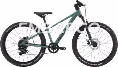 Bulls Tokee Disc 24"