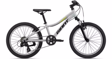 Giant XTC JR 20