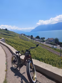 Mobygo Colonel Racer Café