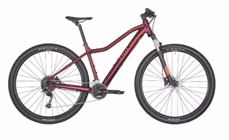 Bergamont Revox 4 FMN