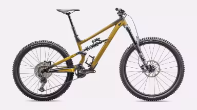 SPECIALIZED Status 2 170