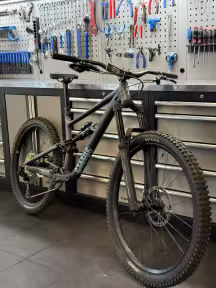 SPECIALIZED STATUS 160