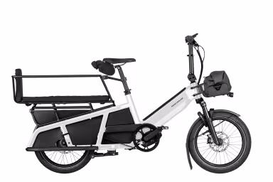 Riese & Müller Multitinker Easy