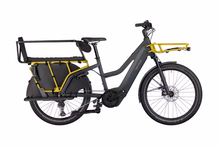 Riese & Müller Multicharger3 Mixte Family