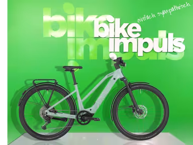 Bergamont Helix 20 Slope