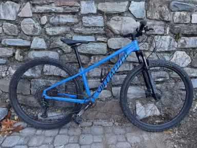 SPECIALIZED Rockhopper Expert