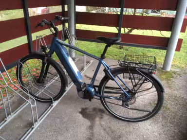 Leopard Muralto City