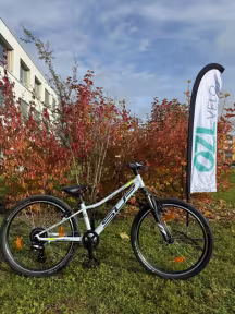 Superior Racer Xc 24