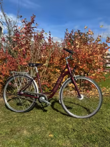 VILLIGER Brissago Legere