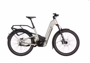 Riese & Müller E-Bike Homage5 Gt Pinion