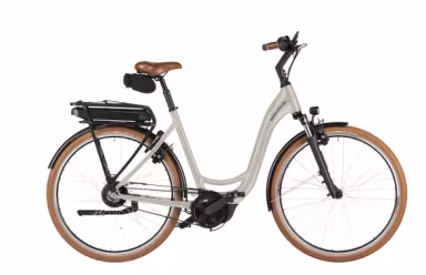 Riese & Müller Swing