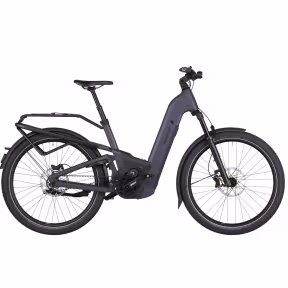 Riese & Müller Homage