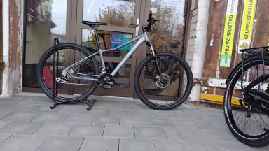 Corratec X Vert Motion