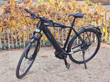 Riese & Müller Roadster Mixte vario