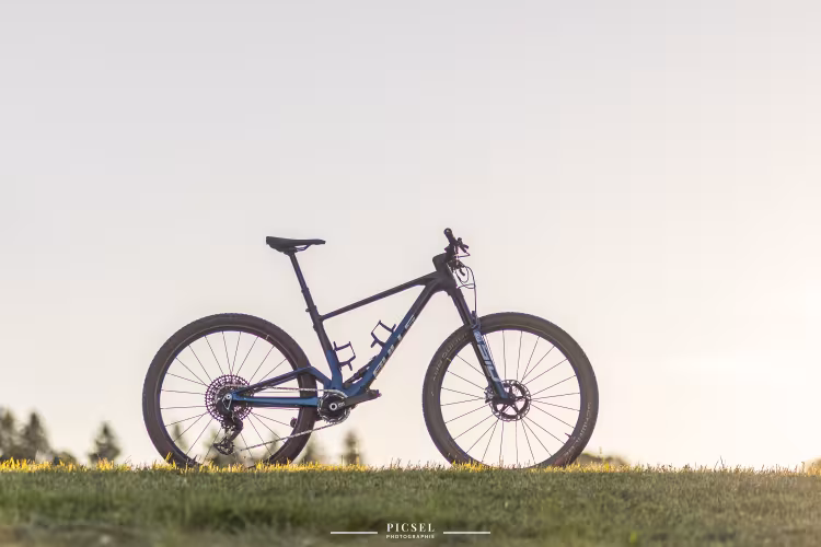 Bulls Wild Edge Team