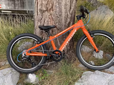 Eightshot X-COADY 20