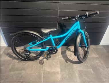 Naloo Chameleon 20 Trkis Occasion