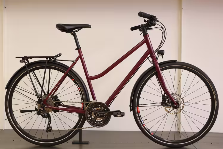 MTB CYCLETECH Andale