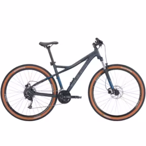 Bulls Sharptail 3 Disc