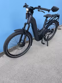 Riese & Müller Homage5 Gt Pinion Hs