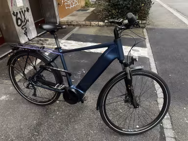 Leopard Muralto City