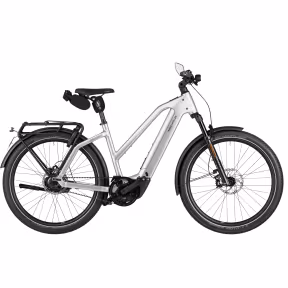 Riese & Müller Charger