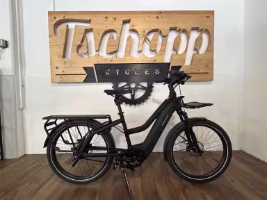 Riese & Müller Multicharger Mixte GT vario