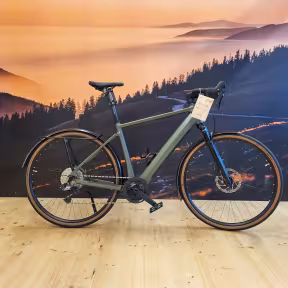 Riese & Müller Ubn Five Commute T