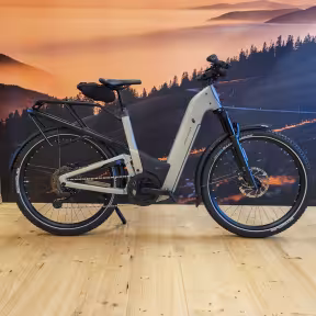 Riese & Müller Homage5 Gt Touring