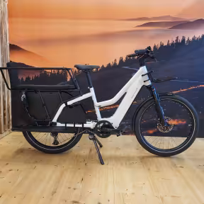 Riese & Müller Multicharger Mixte Gt Family