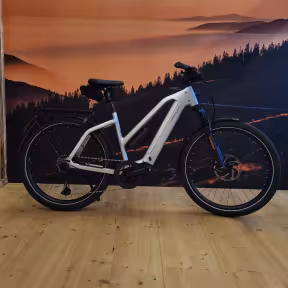 Riese & Müller Charger 5 Mixte Touring Hs