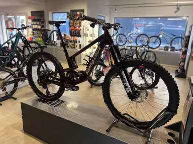 Santa Cruz Bronson 5 Cc