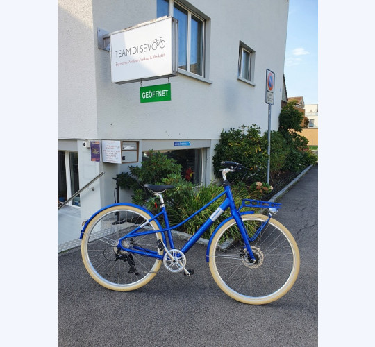 Raleigh Halifax 9