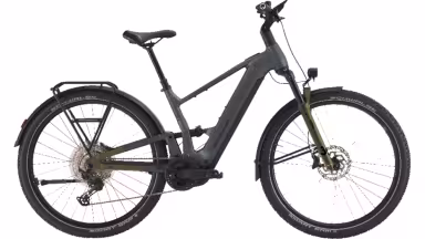 Bulls Iconic Evo Fs !