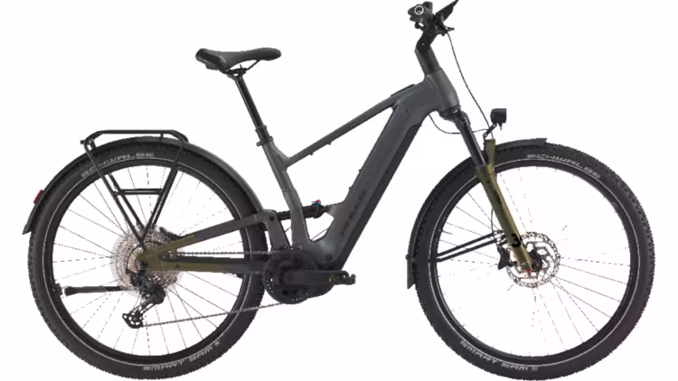 Bulls Iconic Evo Fs !