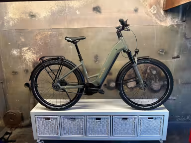 Bulls Iconic Evo Belt