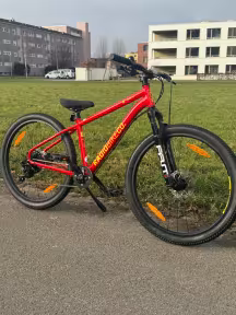 Radio Bikes Kidsmtb Zuma