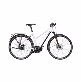 Riese & Müller E-Bike Roadster4 Mixte Vario 45