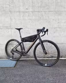 Propain Terrel Gravel