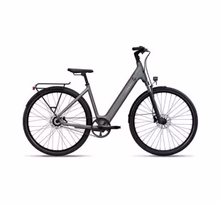 2020 Tenways Cgo 800S