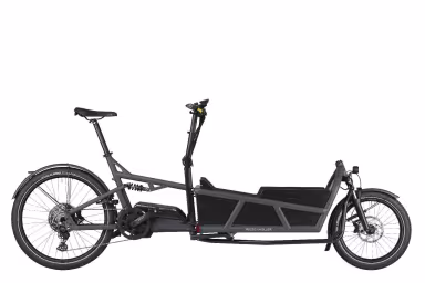 Riese & Müller E-Bike Cargo Load4 75 Vario 45