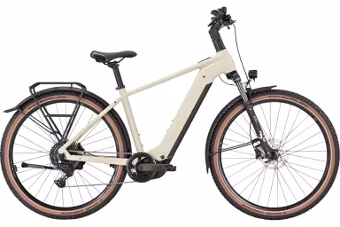 Bulls Iconic EVO 1 29