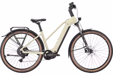 Bulls Iconic EVO 1 29