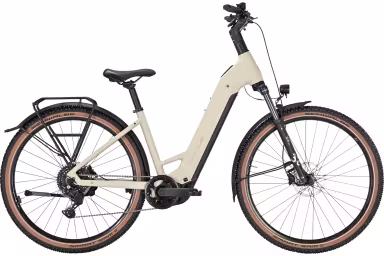 Bulls Iconic EVO 1 29