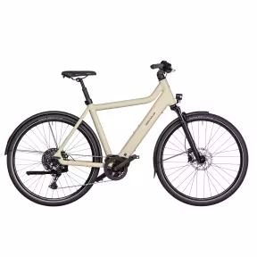 Riese & Müller Culture Touring